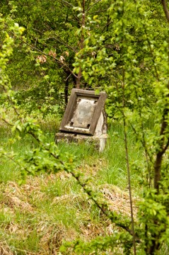 Po delším prodírání houštinou však můžeme spatřit několik zarostlých a převážně zničených náhrobků.