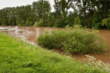 Řeka Ohře směrem na Litoměřice.