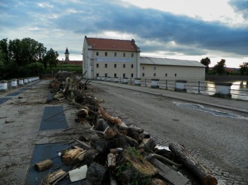 Vytahané naplavené klády ležící na vozovce pevnostního mostu. Foto: Matouš Lacko.